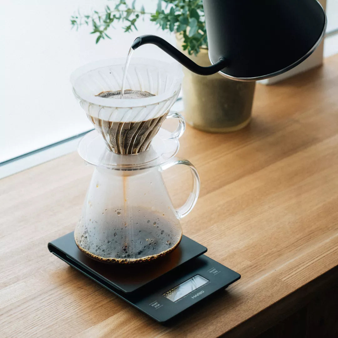 V60 - Hario Clear Brewer Kit